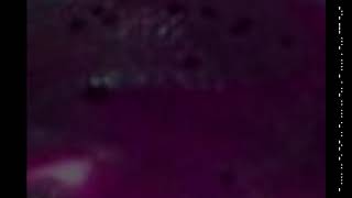 536F727279