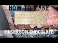 How to make mushroom chocolate bars