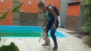 Essa Cachorrinha Apronta