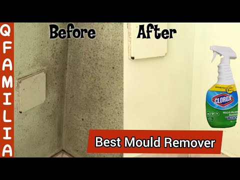 Best Mould Remover | How to get rid of mould / Mold on walls | Amazing Result of Clorox Mold Cleaner