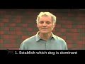 How to Train a Dog - Obedience Training Secrets