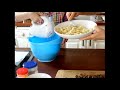 Bananen Walnuss Kuchen Backen Muzlu Cevizli Kek Tarifi Canan S images Bananen Walnuss Kuchen Backen Muzlu Cevizli Kek Tarifi Canan S