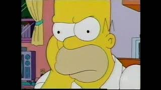 Fox Screen Bug 2005, Mobile Homer
