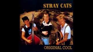 Watch Stray Cats Trying To Get To You video