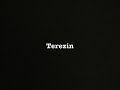 Terezin (A Super 8 Film)