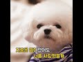 Download 강민경 인스타 ㅋㅋㅋㅋㅋㅋㅋ 이번 싱글 기타리스트 흊춘호 강민경 인스타 ㅋㅋㅋㅋㅋㅋㅋ 이번 싱글 기타리스트 흊춘호