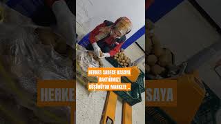 Amelelik Yaptığımız Doğrudur