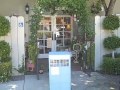 THE TARDIS: magical adventures downtown