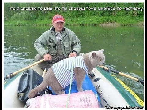 казус на рыбалке видео казус на рыбалке видео