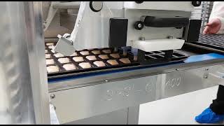 Garnissage De Moules Pour Financiers Sur La Dresseuse Gm400 Spsi.