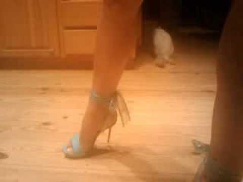 liveshow courtesan escorts liveshow courtesan escorts