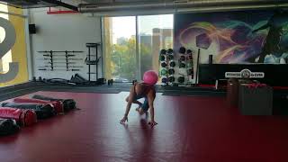 Animal flow conditioning