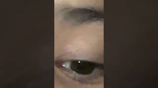 12 October 2025