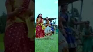 Sukumariodia Latest Full Screen Status 4K Romantic Status