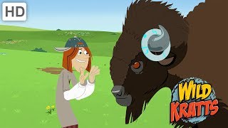 Wild Kratts - The Best Wildlife Experience (1 HOUR!)