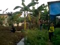 tawuran sadis bocah champ-z