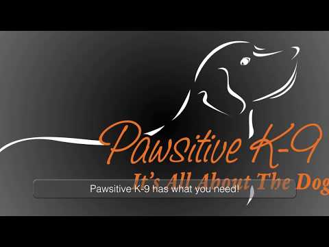 It's All About The Dogs!
