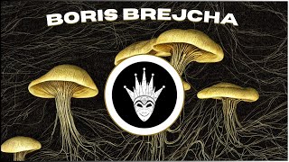 Boris Brejcha Minimal Techno Style Mix 2025