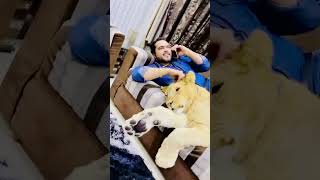 Mufasa Jab 1 Year Ka Tha