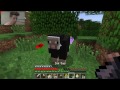 Minecraft Andy's World | Oaia neagra  | Sez #2 Ep #13