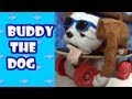 Buddy the Skateboarding Dog New York Toy Fair Preview