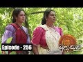 Muthu Kuda 29/01/2018 - 256