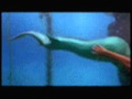 Francesco De Gregori - Il Canto Delle Sirene