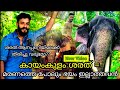 കായംകുളം ശരത് = മരണത്തെ പോലും ഭയം ഇല്ലാത്തവൻ| Kayamkulam sarath| Olarikkara kalidasan|Elephant video