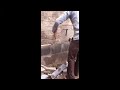 سكس يمني
