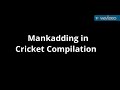 Mankading in Cricket Compilation
