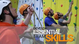 Why rock climbing makes an incredible choice for Corporate teambuilding!