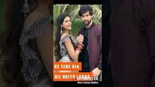 Mayank And Tara Are Sweet Couple And Actor