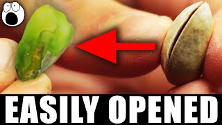 10 Things You're Consuming Wrong 10 Things You're Consuming Wrong