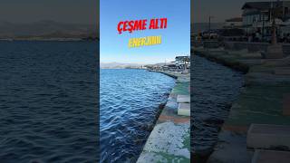 Dilan Polat Enerji