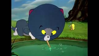 Tom And Jerry - Jerry Body And Tom Head Inflation