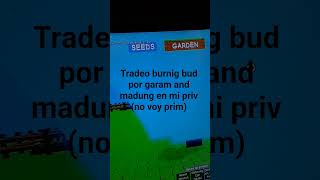 Tradeo Burnig Bud Por Garam En Mi Priv Vale 3T No Voy Prim