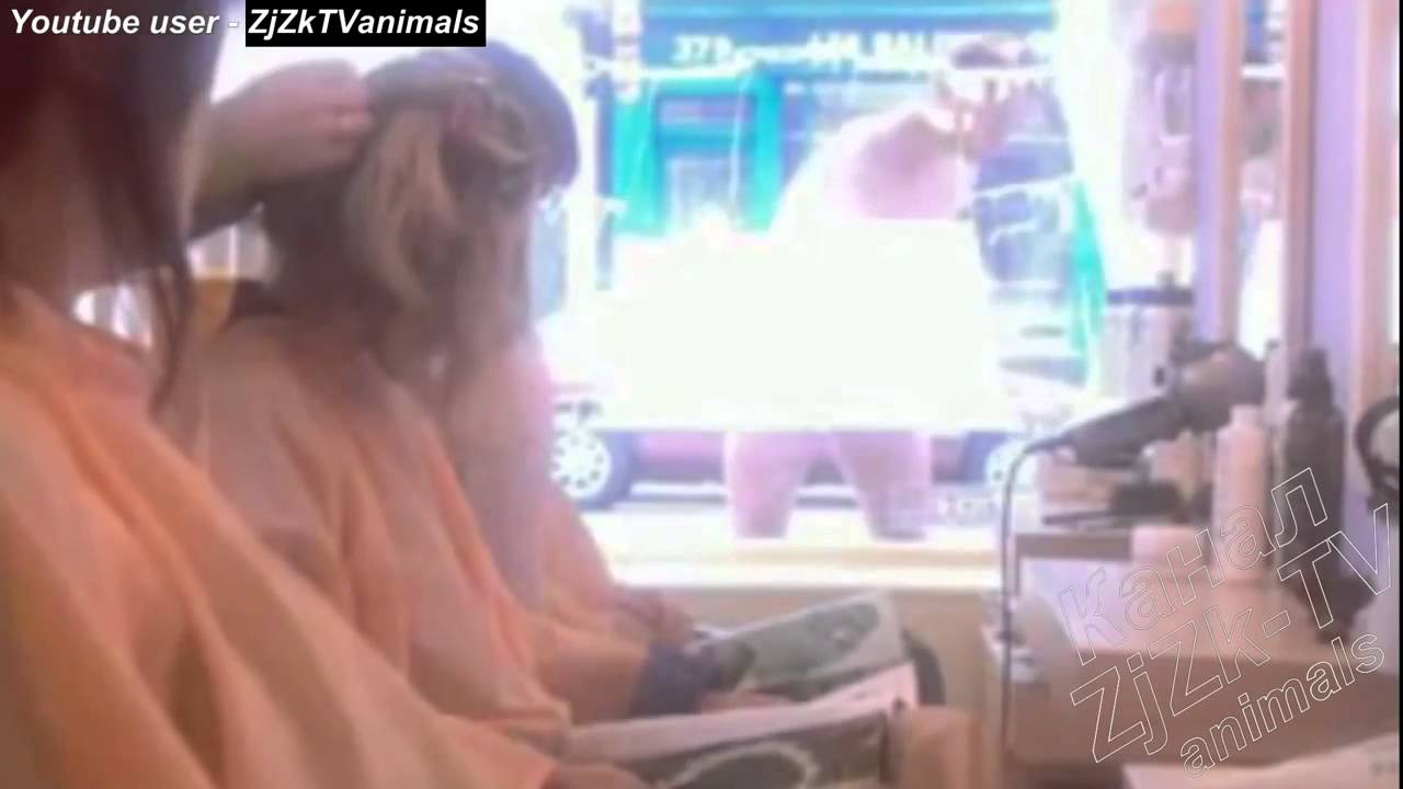 Соблазнила Мойщика Окон Секс Видео