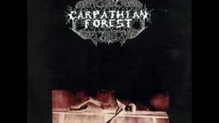 Watch Carpathian Forest A Forest video