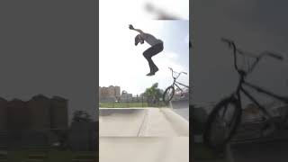 Le Transfert Fou De Scotty Cranmer