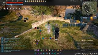 Tamer Awakening Combo Easy Example