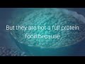 Vegetarian Video preview