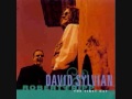 David Sylvian & Robert Fripp - 20th Century Dreaming (A Shaman's Song)