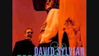 Watch David Sylvian 20th Century Dreaming video