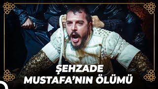 Sultan Süleyman, Öz Evladının Canını Aldı! | Osmanlı Tarihi