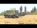 Cosechando arroz en Casar de Miajadas