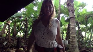 Cats And Coffee Live From The Jungle Hawaii