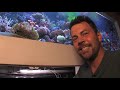 Vivid 400 Gallon Reef Aquarium