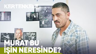 Murat Ve Kemal Birbirine Giriyor Kertenkele 74. Bölüm