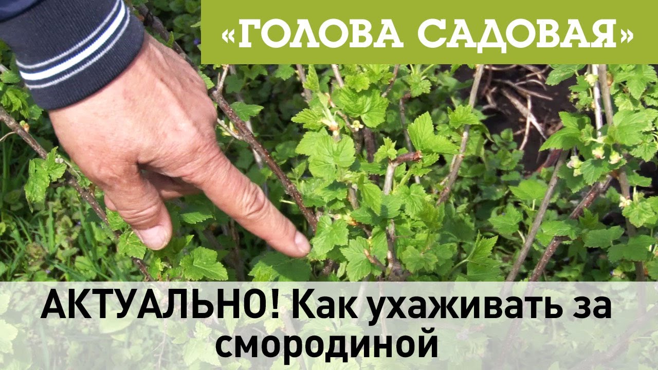Маски для лица с мумие Маска для волос и кожи головы System 4 O Oil Cure Hair Mask