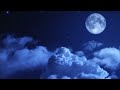 Beautiful Relaxing Music: Romantic Piano Music, Violin Music, Cello Music, Guitar Music ★74